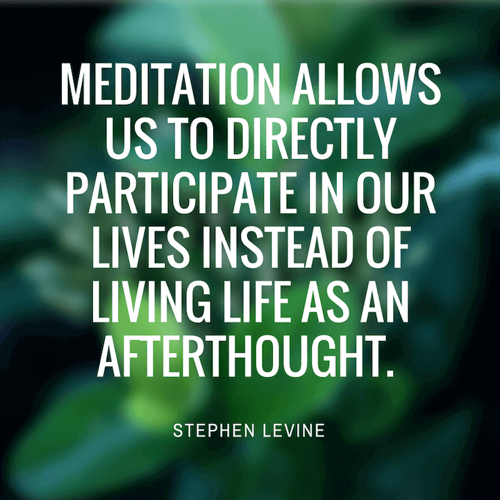 Stephen Levin Meditation Quotes